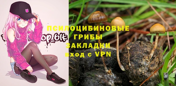 а пвп мука Дмитриев