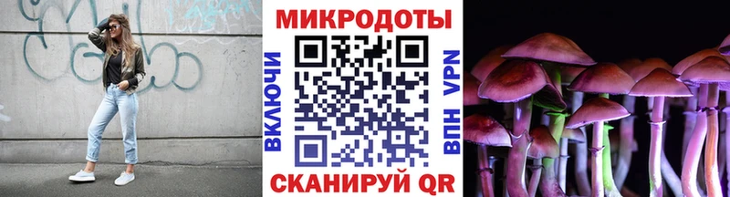 Купить  Певек  Псилоцибиновые грибы прущие грибы 
